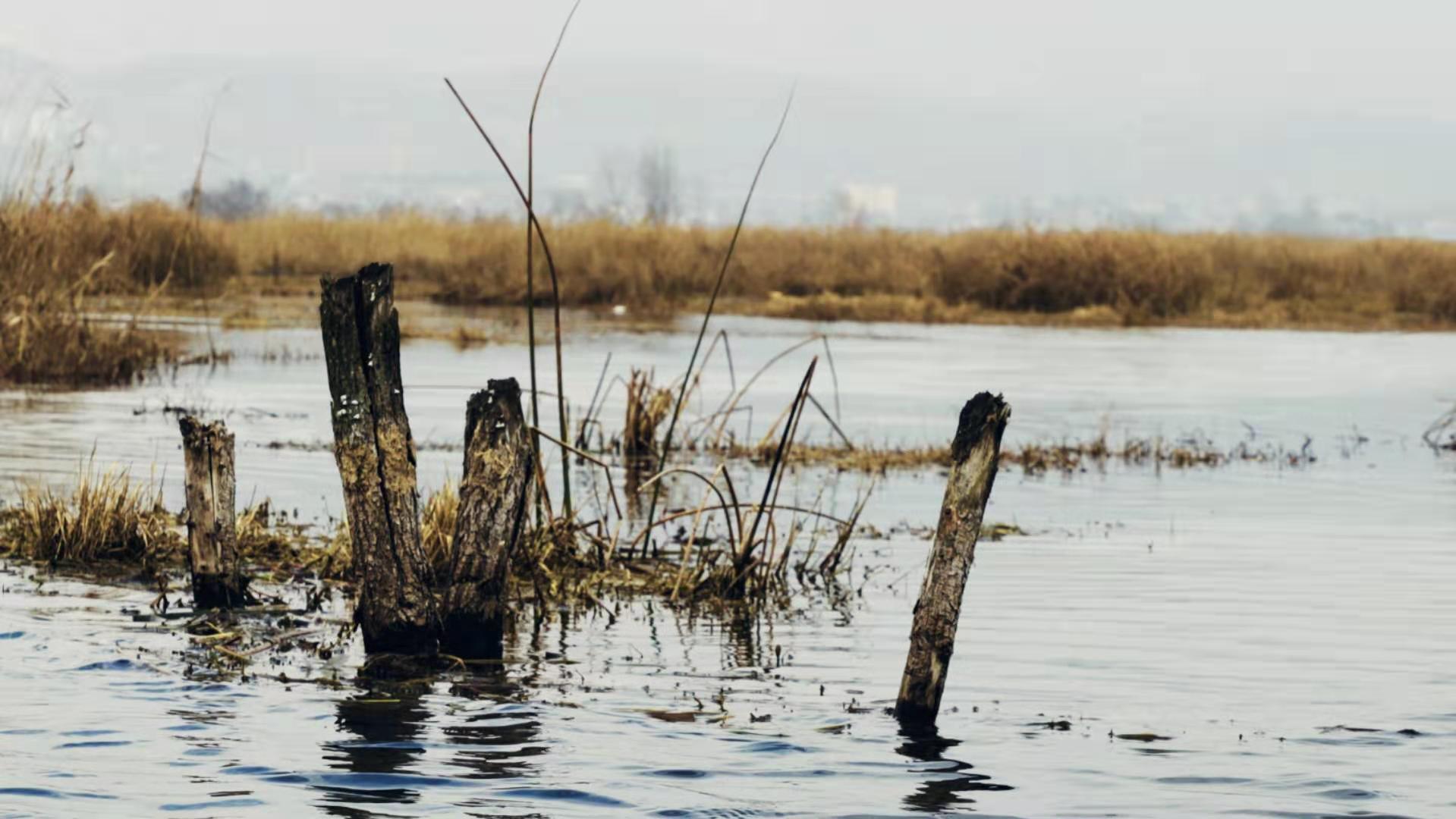 licuay的個人主頁（封面預(yù)覽） - 主頁封面設(shè)置 - 站酷設(shè)計師licuay原創(chuàng)素材 - 站酷ZCOOL