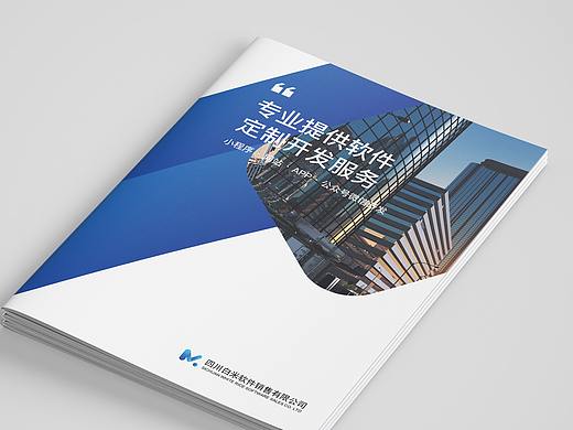软件公司宣传画册