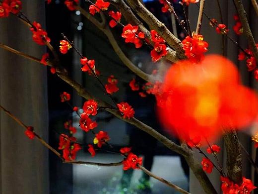 巴中高端餐饮餐厅设计|餐馆设计|宴会厅设计（个人主页-ZMjQwNTkxMzI=） - 家装设计 - 站酷设计师传播美原创素材 - 站酷ZCOOL