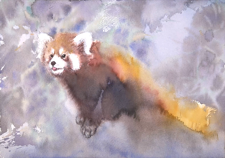 水彩绘画视频（小熊猫）（图ZMTgyMDE0MTU2） - 绘画 - 站酷设计师萃艺博课堂原创素材 - 站酷ZCOOL
