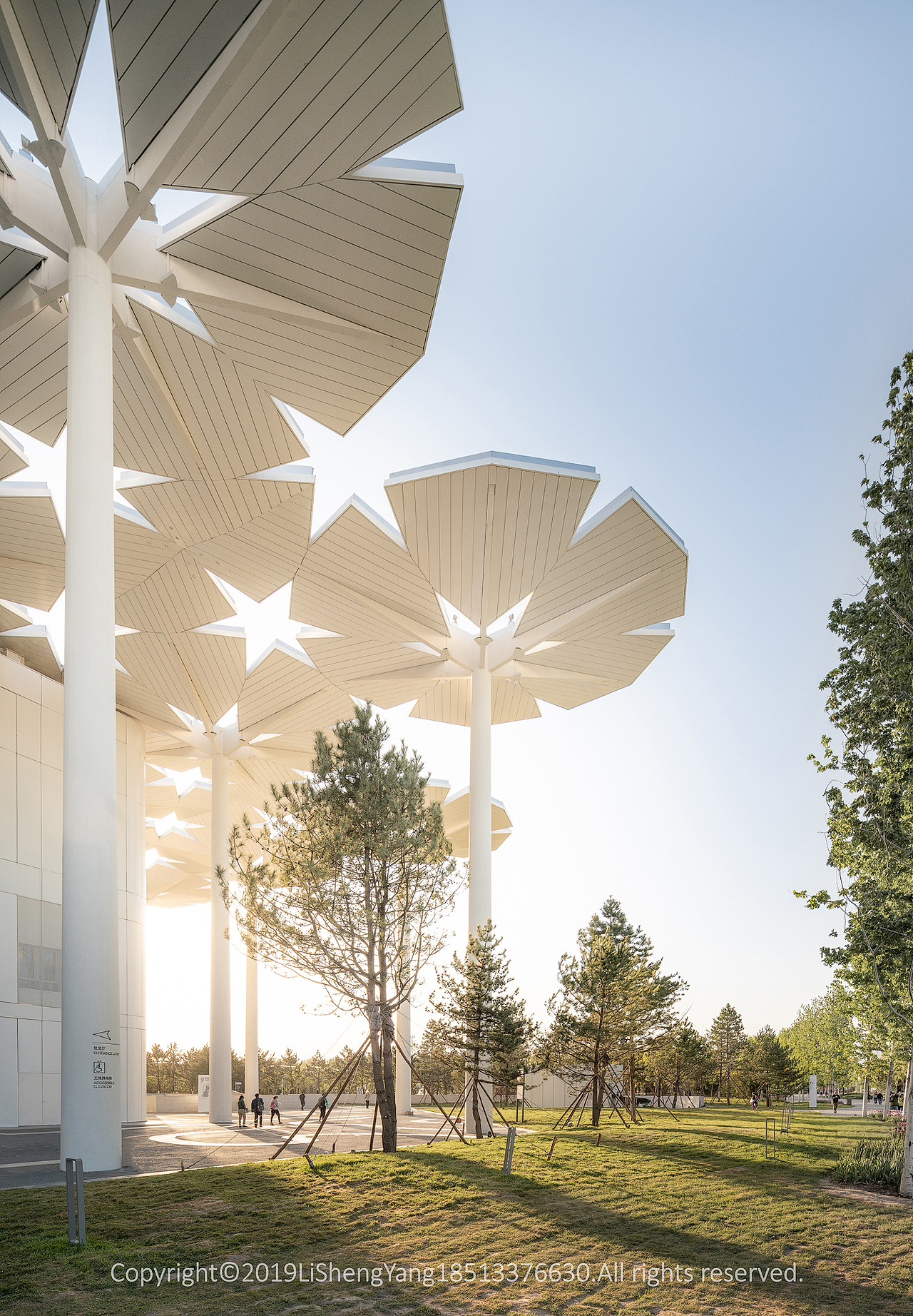 2019北京世园会国际馆「建筑空间摄影」 摄影:李胜阳