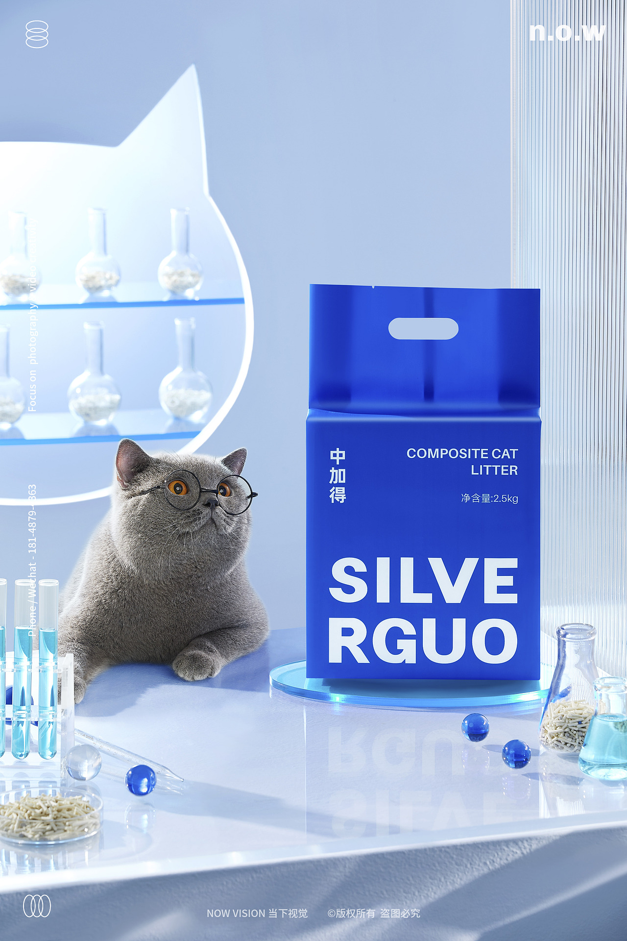 宠物用品|中加得 X 当下视觉