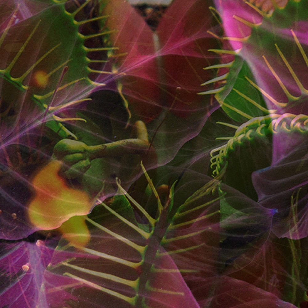 花卉植物类花型图案设计（图ZNTcwMzM5NDQ=） - 其他服装 - 站酷设计师米印定制网原创素材 - 站酷ZCOOL