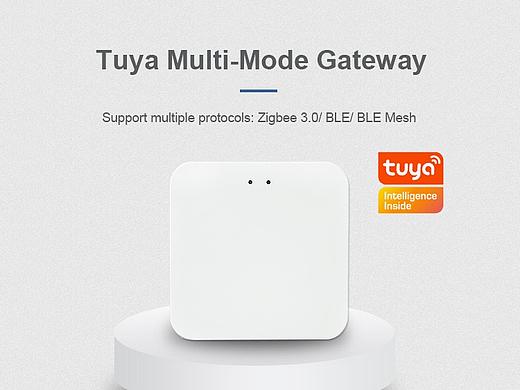 阿里巴巴国际站详情页-智能网关开关控制器