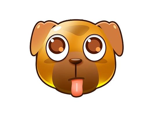 动物练习