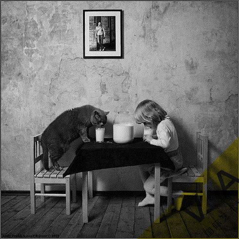 VA影视设计留学 猫与女孩的一组摄影作品集（图ZMTAwOTE1ODQw） - 宠物摄影 - 站酷设计师VA艺术留学原创素材 - 站酷ZCOOL