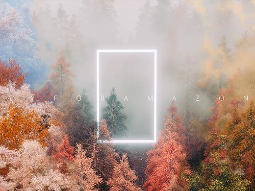 LUNGS_OF_THE_EARTH_DECLINE_OF_THE_FOREST 地球之肺