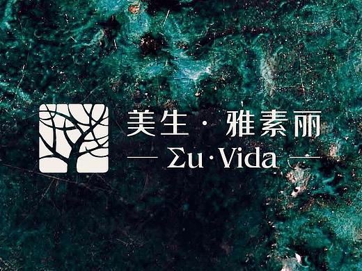 美生雅素丽 ｜高端瓷砖品牌 VI 设计