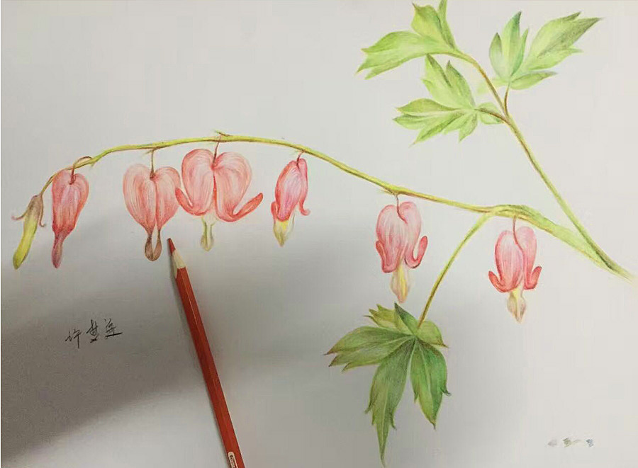 随便画画（图ZODc2NDUxNDA=） - 艺术插画 - 站酷设计师梦遥yaoyao原创素材 - 站酷ZCOOL