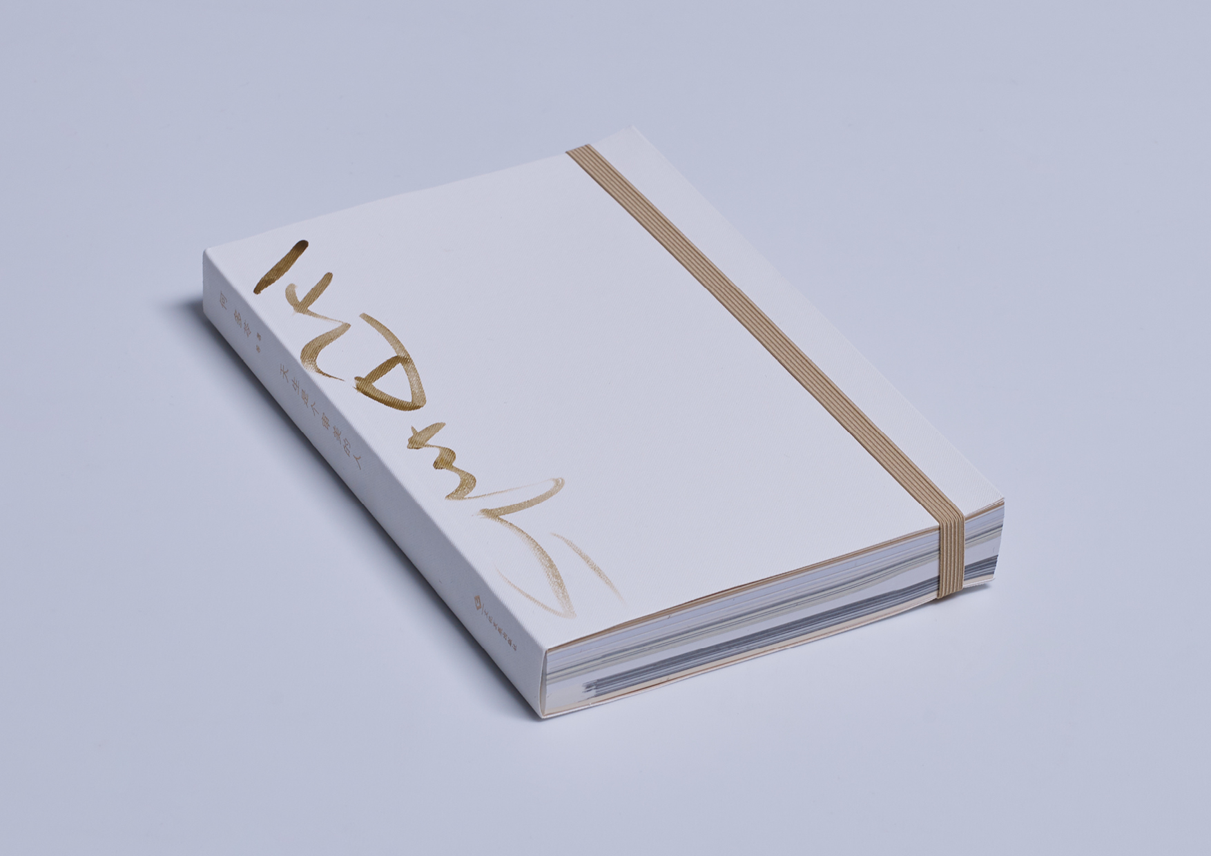 靳埭强设计奖2019获奖作品专业组