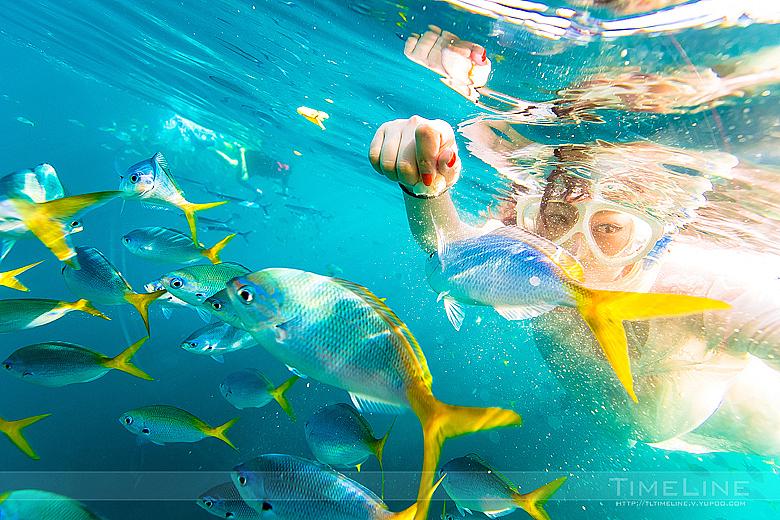 在上帝的水族箱飞翔 [Part1]（图ZMTIzMzg1NDQ=） - 人像摄影 - 站酷设计师TimeLine_季冠廷原创素材 - 站酷ZCOOL