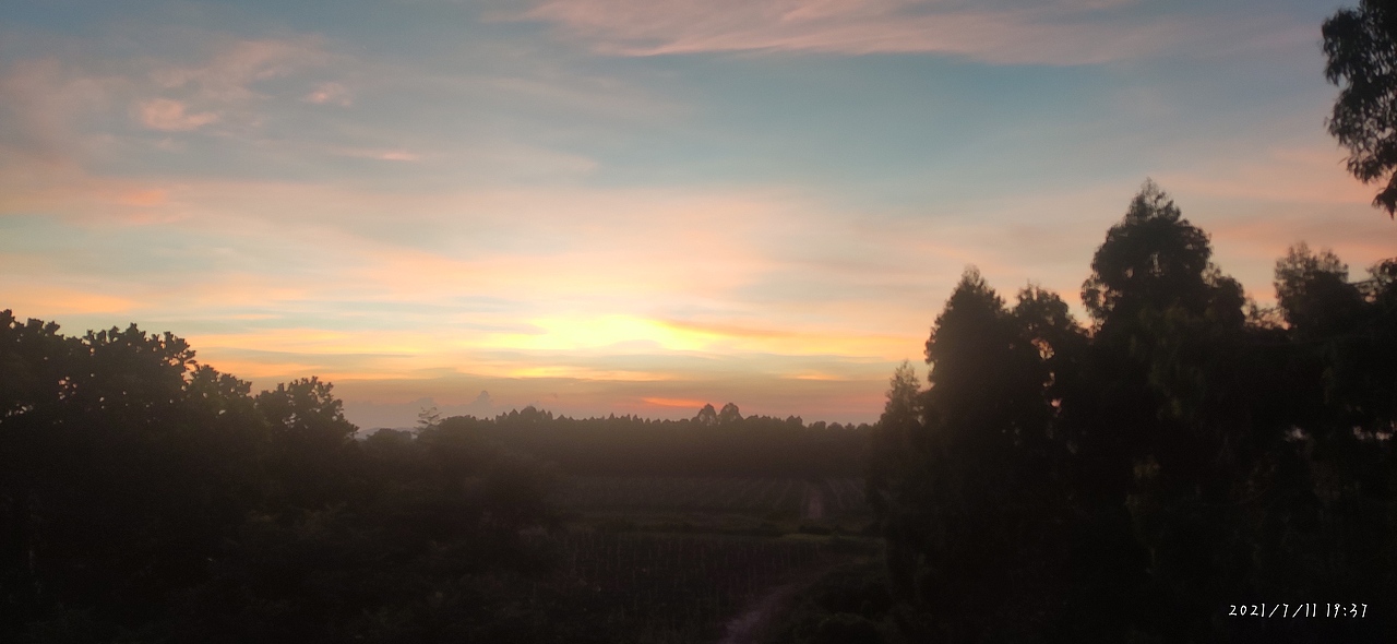 相同的又不同的