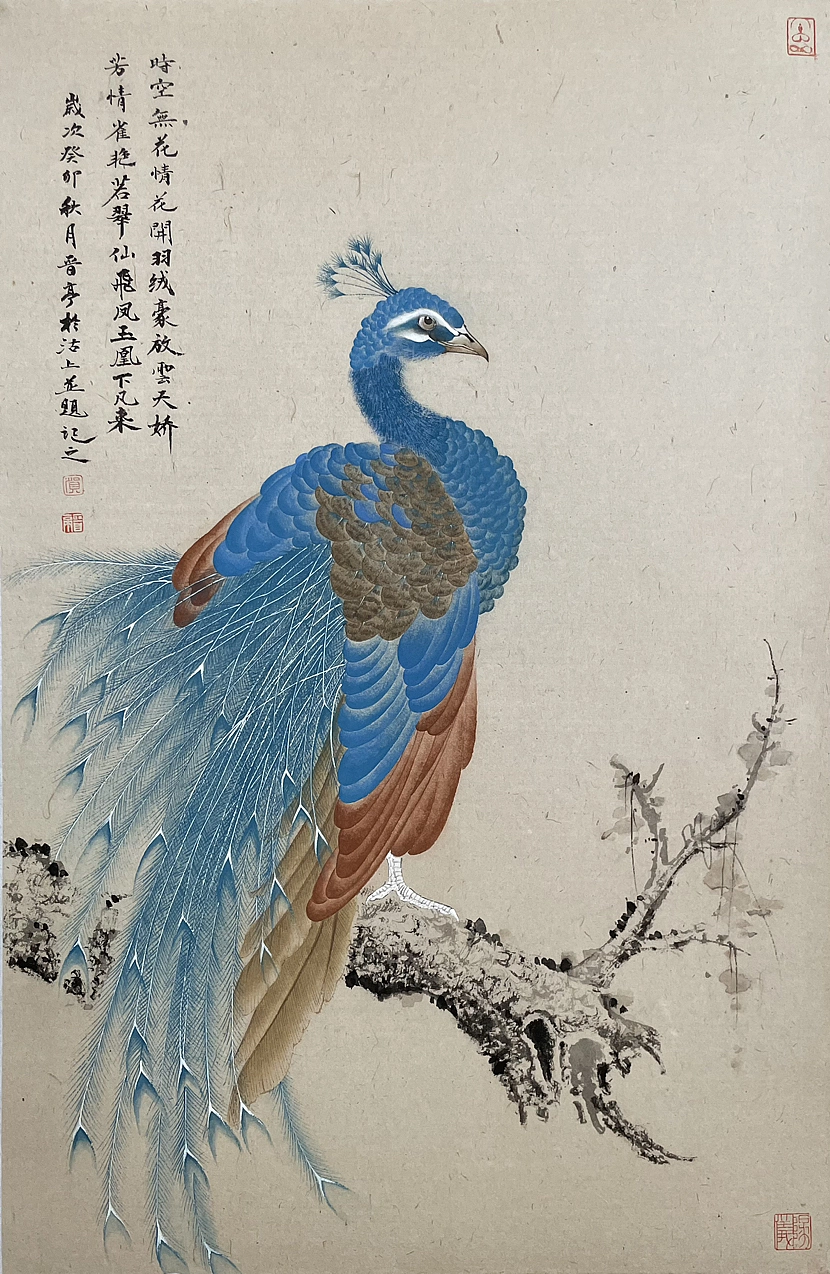 《秀羽写生系列》