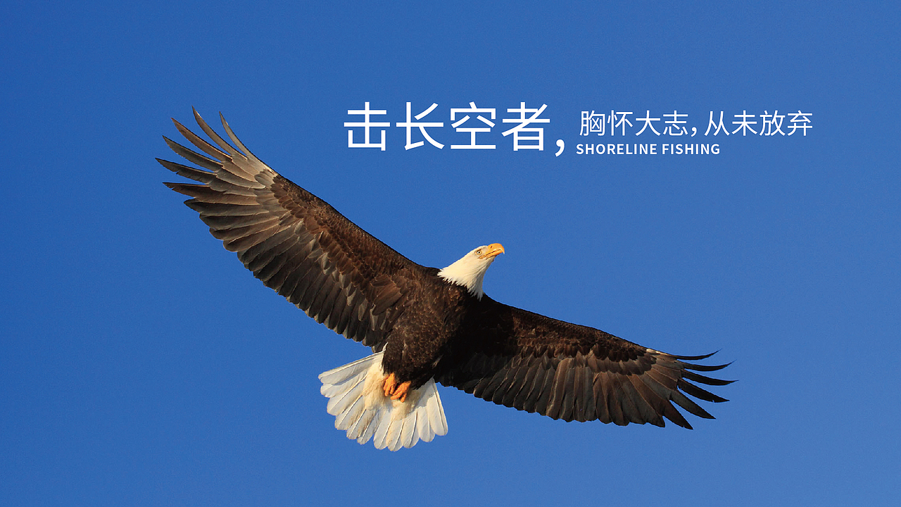 渔具LOGO 渔具包装 渔具包装设计 渔具vi 体育LOGO