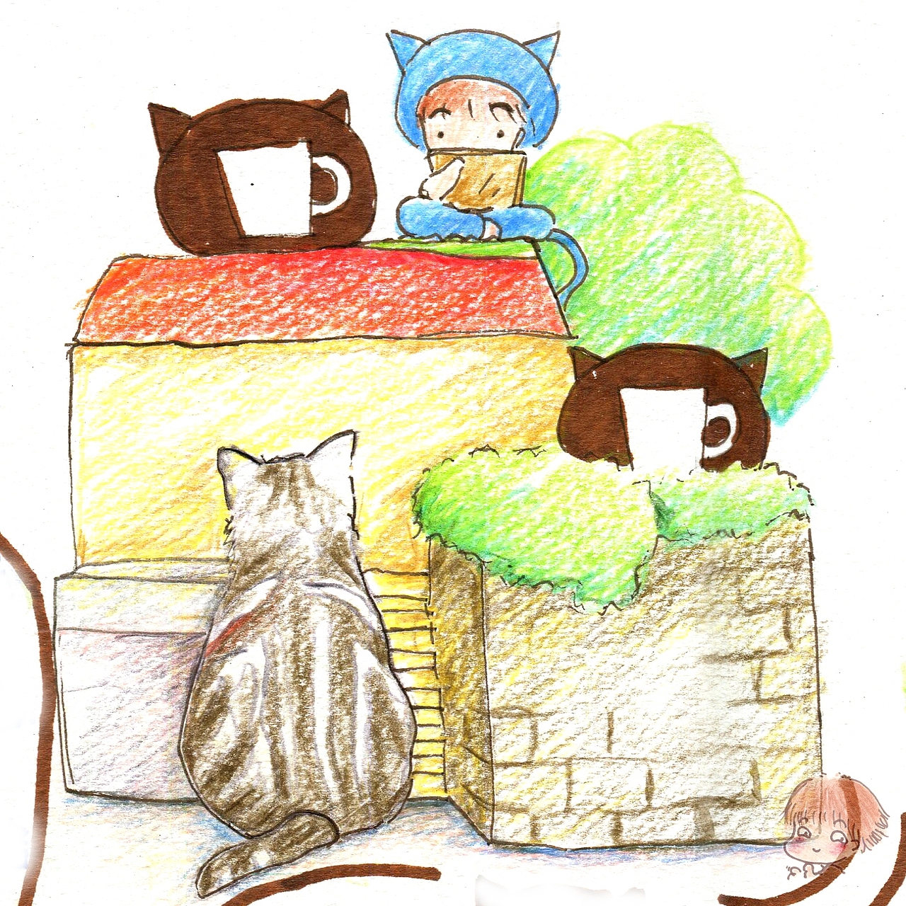 岛城猫咪和咖啡的故事