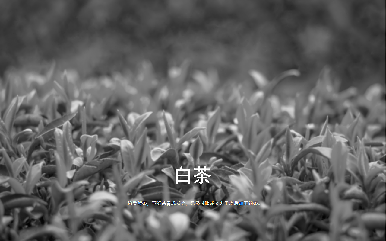 半斤 白茶（图ZMjMzNTE1OTMy） - 包装 - 站酷设计师柏星龙设计原创素材 - 站酷ZCOOL