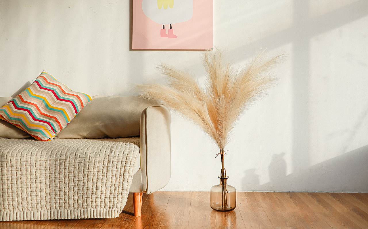 跨境电商——仿真芦苇场景图&亚马逊主图和A+Page