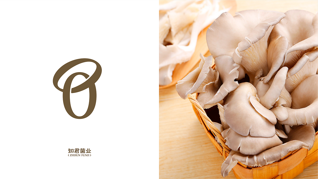 知君菌业品牌形象设计（图ZMjIyMDAyNTA0） - 品牌 - 站酷设计师90邦设计工作室原创素材 - 站酷ZCOOL