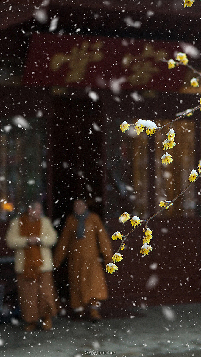 东方晨暮,四季更迭,这一年。