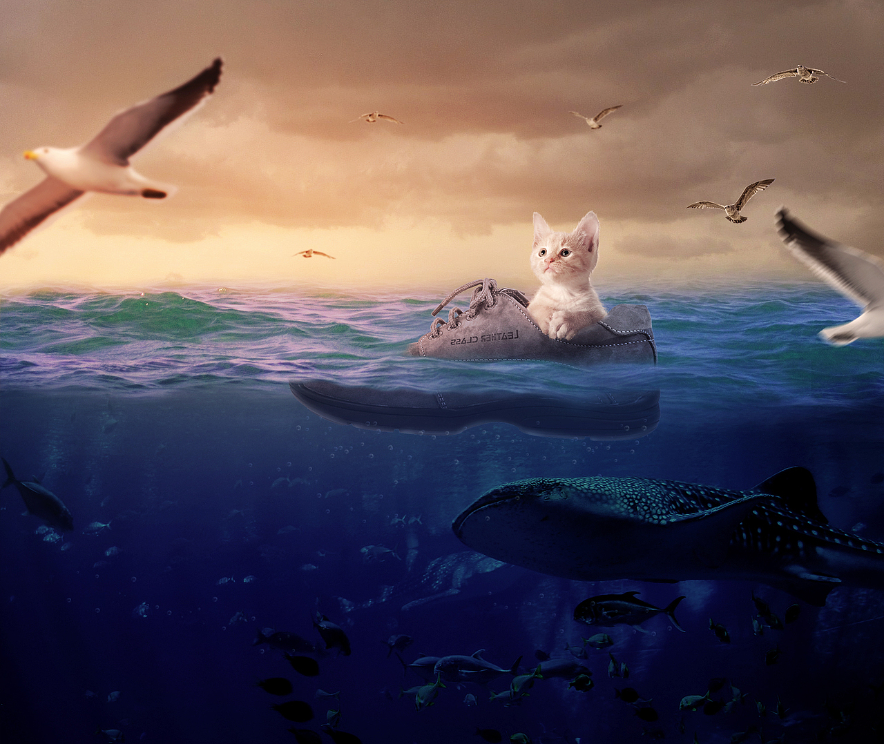 猫咪漂流记合成练习