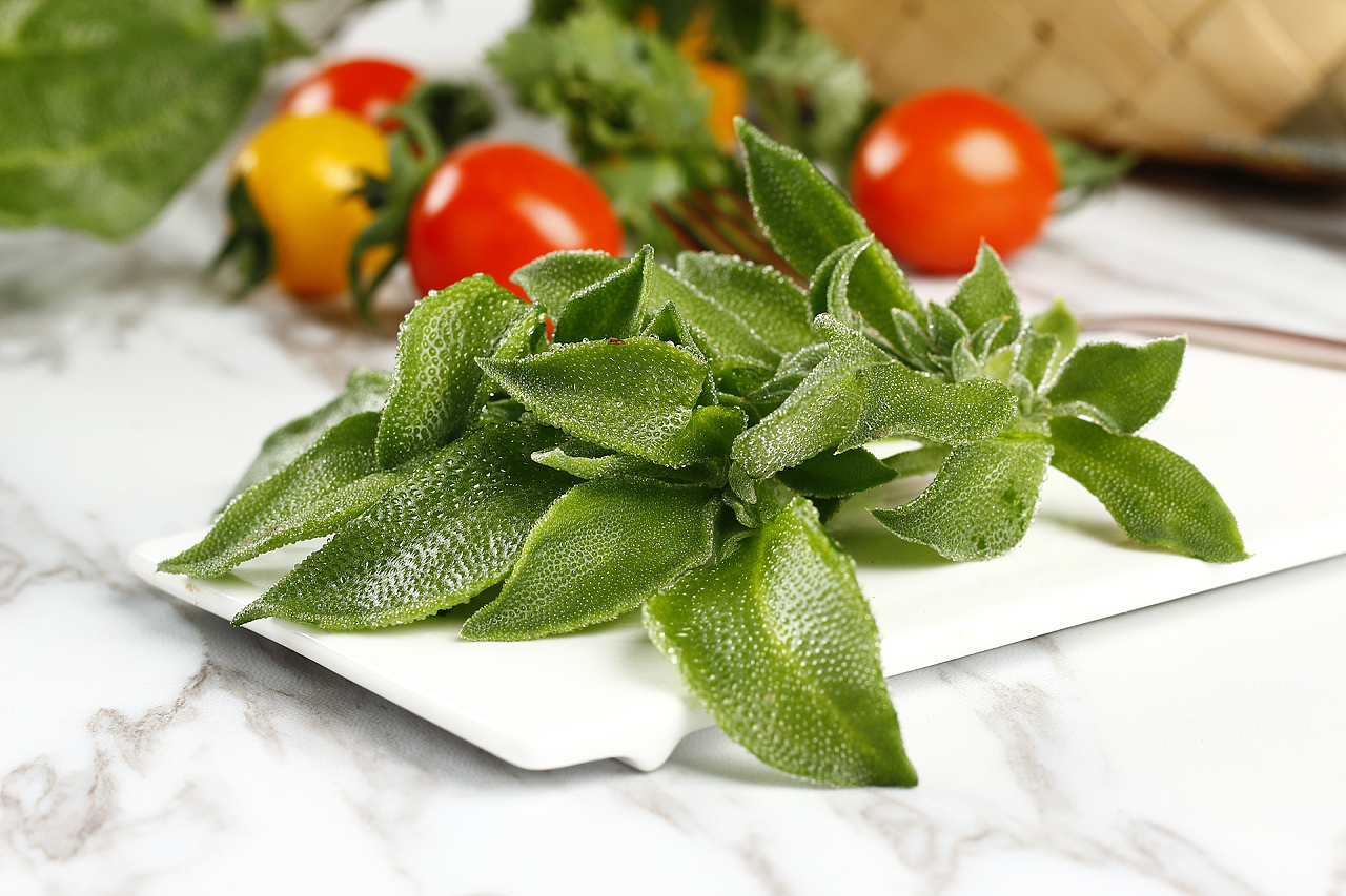 冰菜拍摄部分样片丨淘宝生鲜约拍丨飞鸟电商