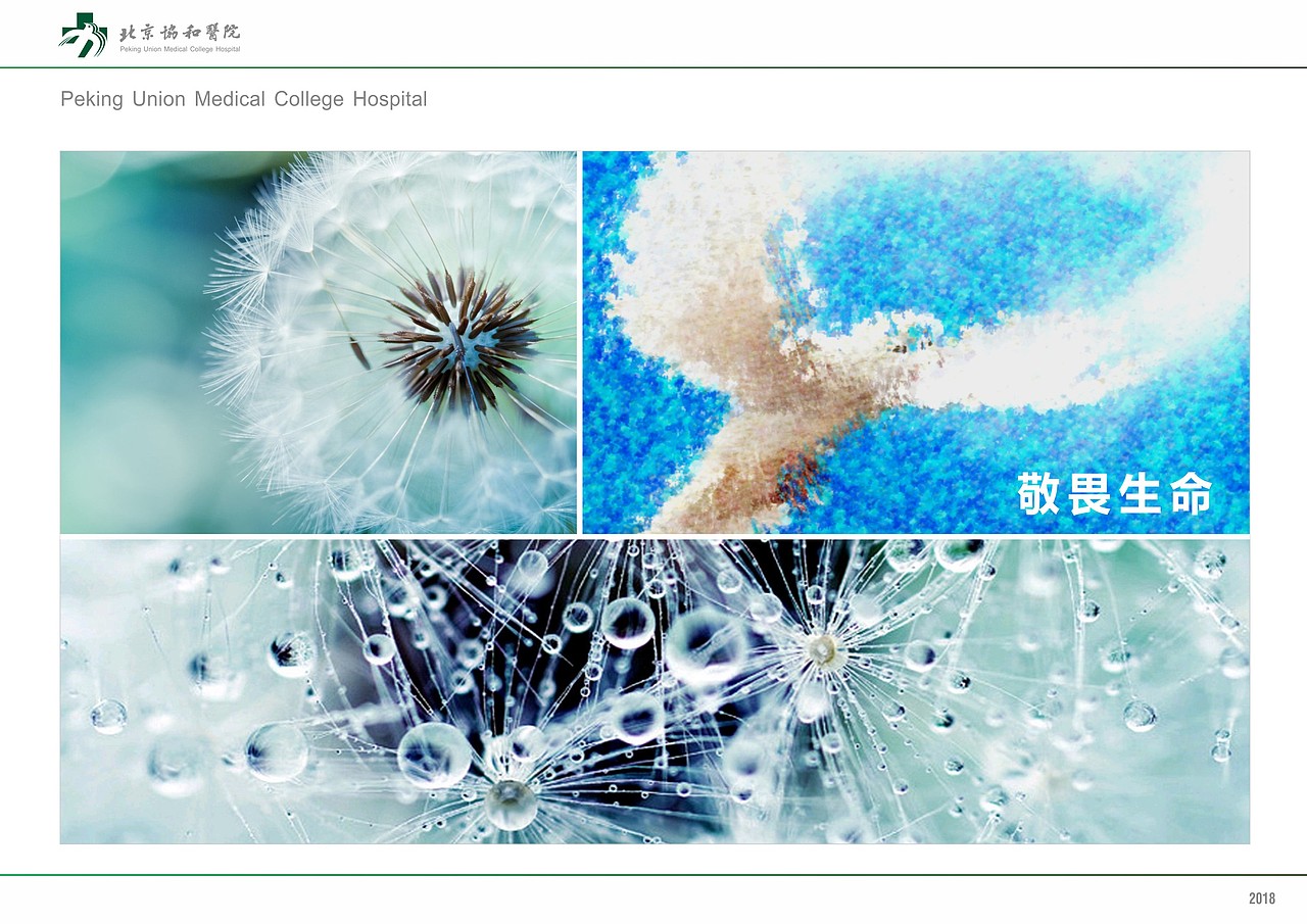 北京协和医院导视系统