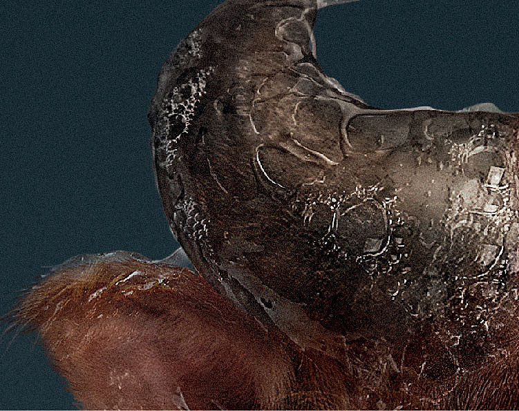 舒克牙线－牛（图ZMjE3NjgyMDA=） - 人物/生物 - 站酷设计师0077Lyon原创素材 - 站酷ZCOOL