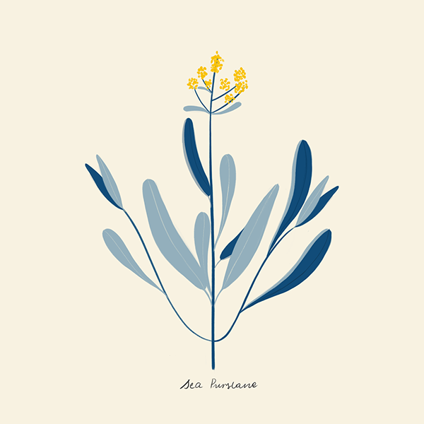 一个门门的个人主页（背景预览） - 主页背景设置 - 站酷设计师一个门门原创素材 - 站酷ZCOOL