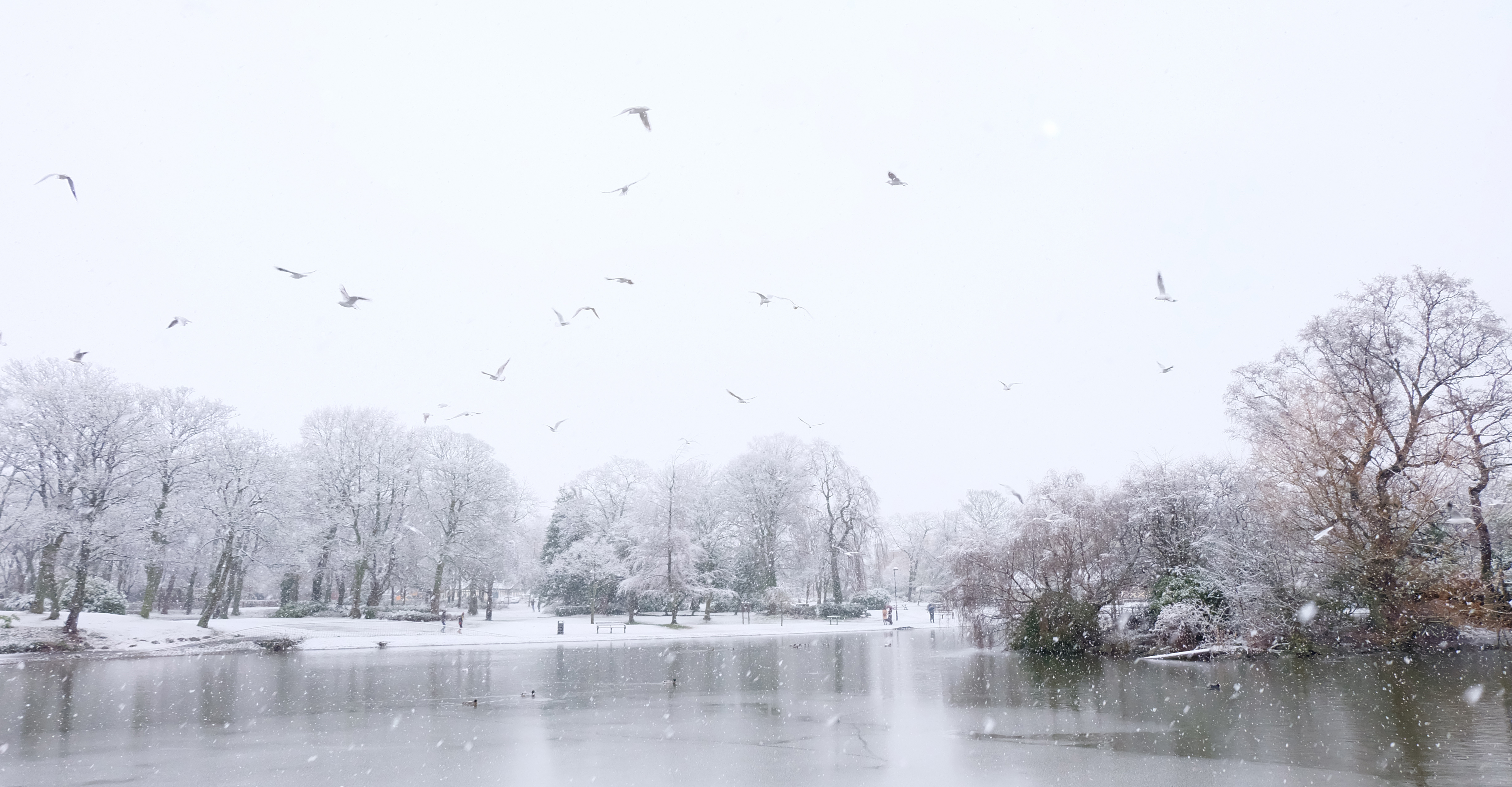 青567的个人主页（封面预览） - 主页封面设置 - 站酷设计师青567原创素材 - 站酷ZCOOL