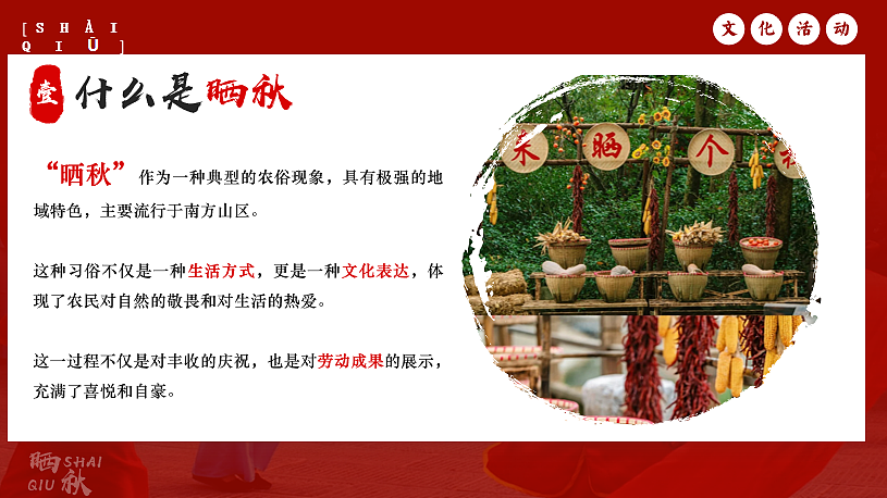 2024商业街区小学校园秋日丰收节晒秋主题活动方案