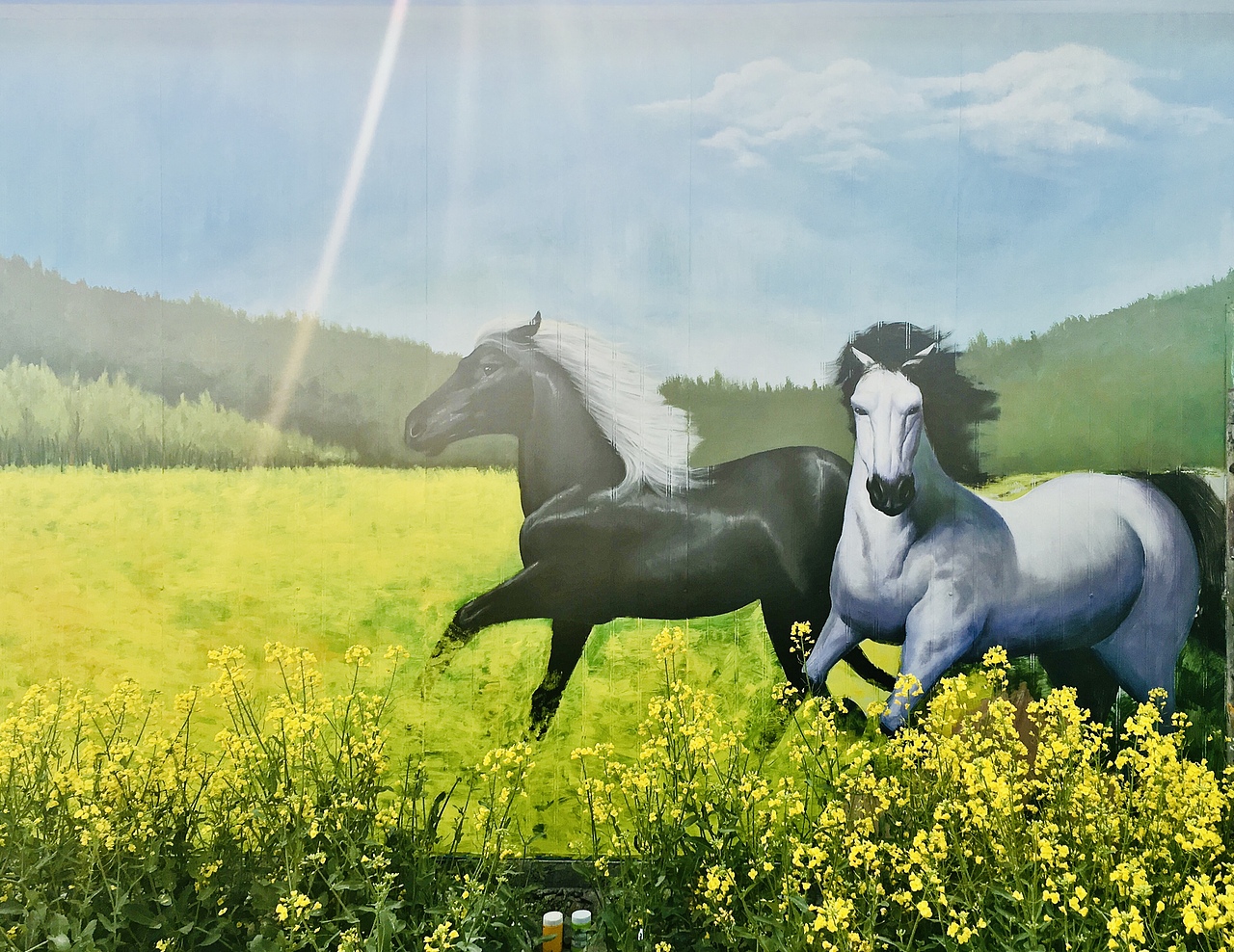 郑州米罗墙绘  油菜花飞驰的马墙绘