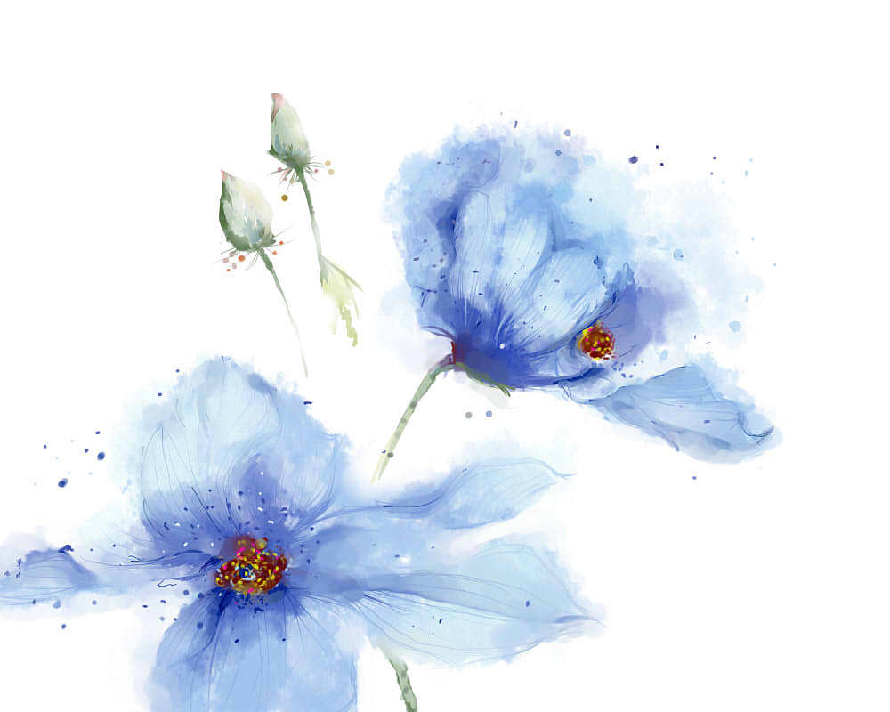 花（图ZMTMzOTA5NTA4） - 艺术插画 - 站酷设计师totoTIANT原创素材 - 站酷ZCOOL