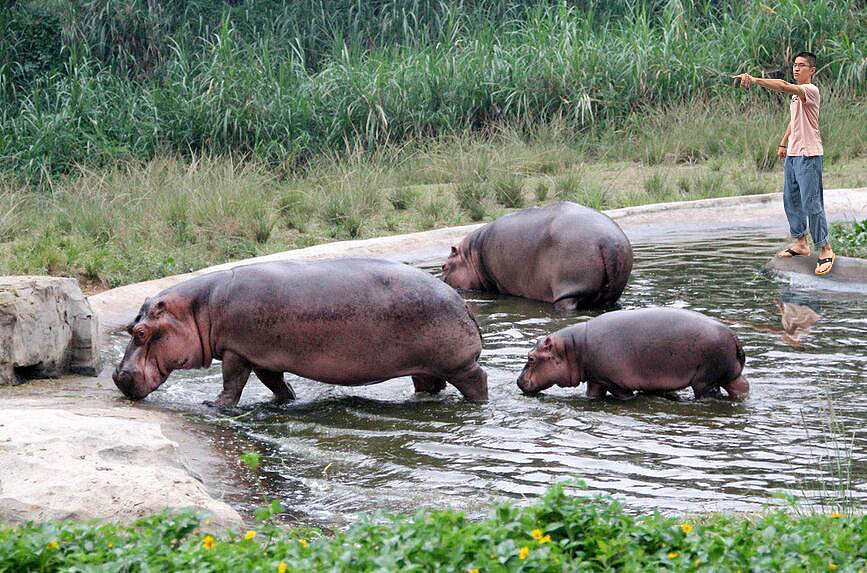 赶马（图ZMjE3Mzg2MzIw） - 人像摄影 - 站酷设计师行走的脂肪肝原创素材 - 站酷ZCOOL