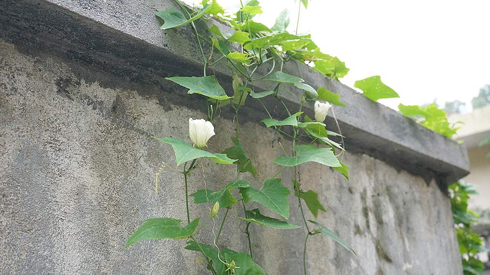 我来了,你来过的这里