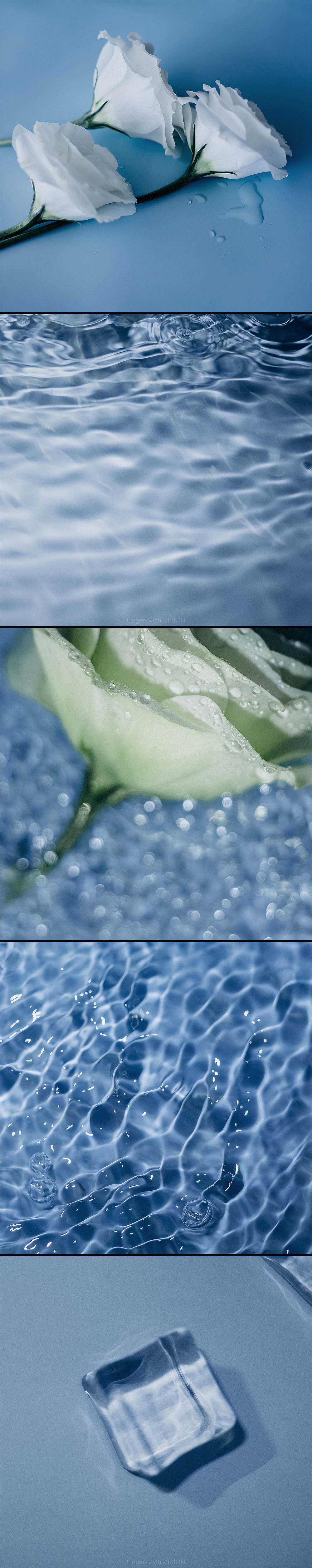 理光GR记录生活的300天