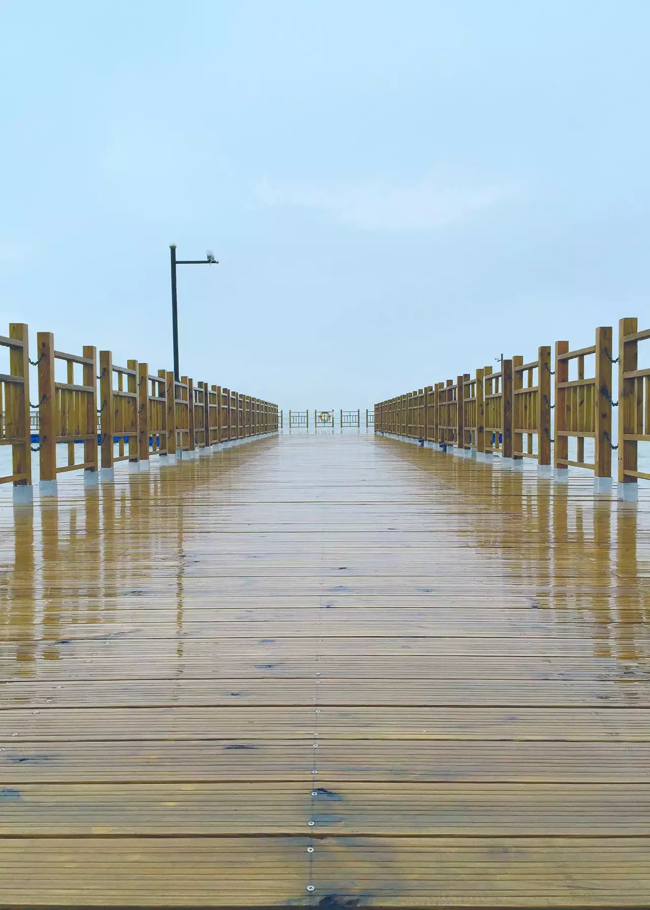 雨中漫步/上海崇明岛明珠湖/西沙湿地 公园|摄影|风光|程阅川 - 原创作品 - 站酷 (ZCOOL)