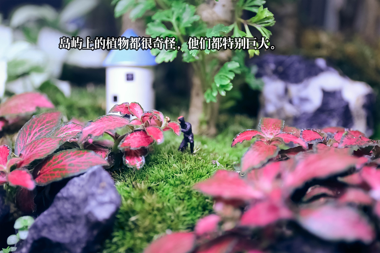 纯属娱乐的第一次微拍记录。