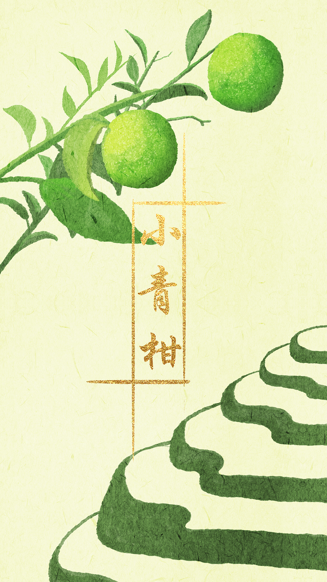 小青柑包装设计（图ZMjYyOTc3NTIw） - 商业插画 - 站酷设计师小人兒原创素材 - 站酷ZCOOL