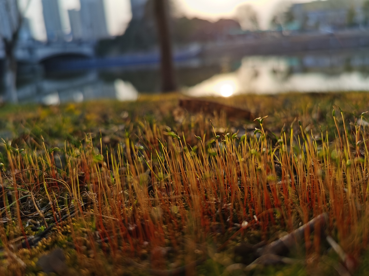 当你放学时（图ZMjkxMjg3MDQw） - 风光摄影 - 站酷设计师闲子煎军原创素材 - 站酷ZCOOL