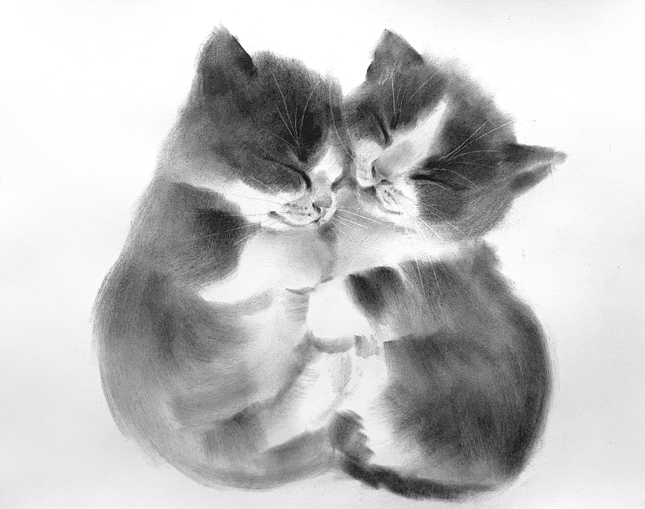 黑白插画也可以很好看不是吗？