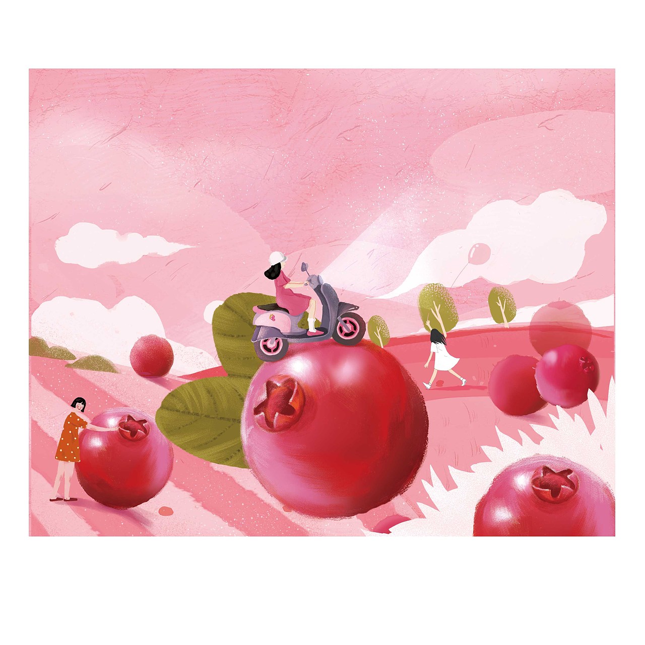 蔓越莓|插画|商业插画|扑火m - 原创作品 - 站酷 (zcool)