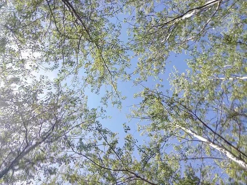 手机相册_风景（图ZMTAwMDEzNTEy） - 人文/纪实摄影 - 站酷设计师跑步向前原创素材 - 站酷ZCOOL