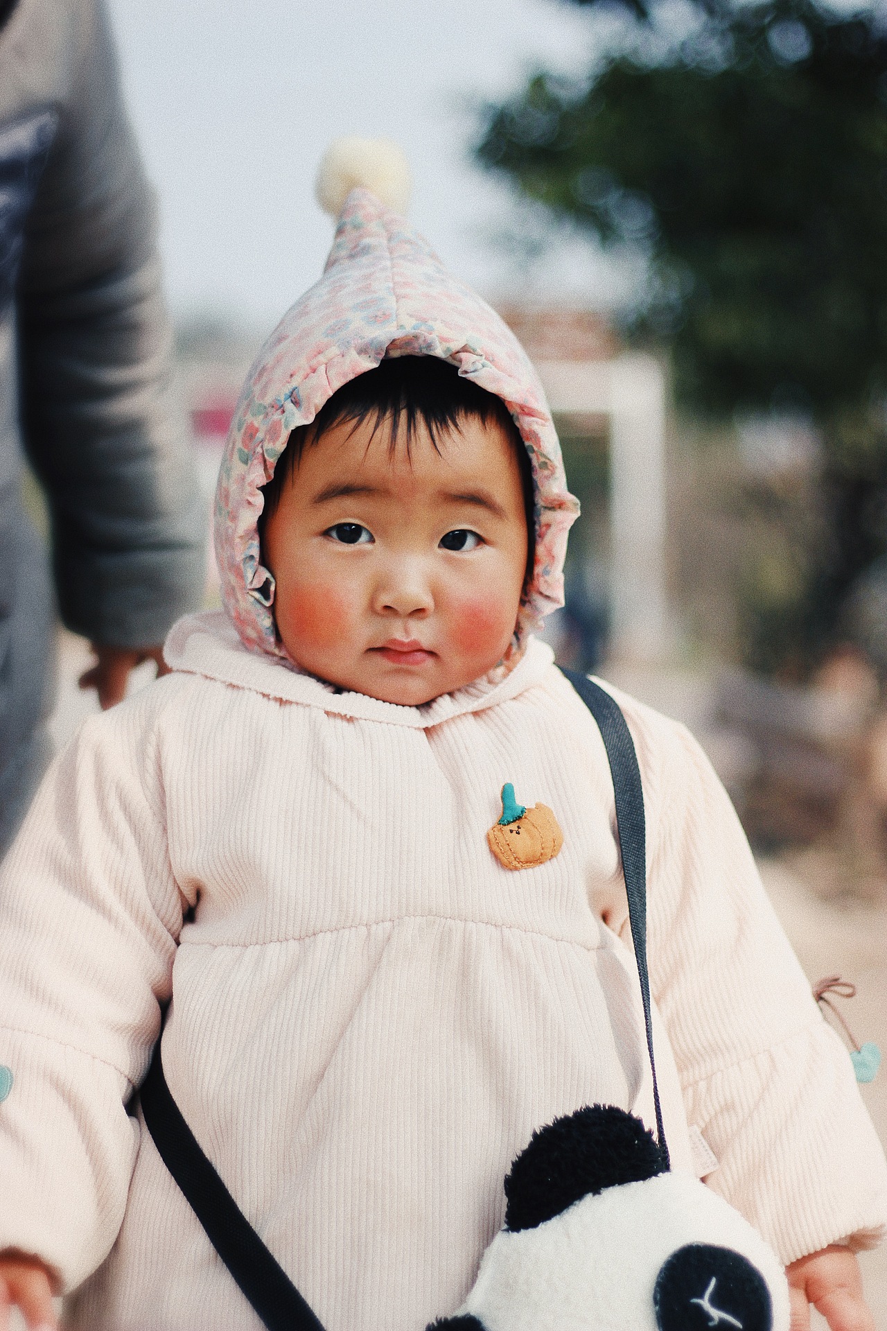 【2020】摄影总结