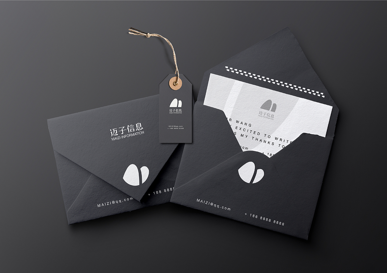 迈子信息-企业LOGO设计