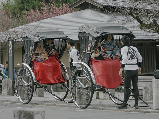 是不是你们就只会去日本