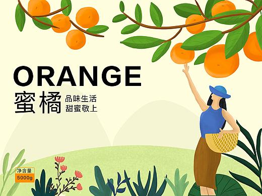 橘子包装