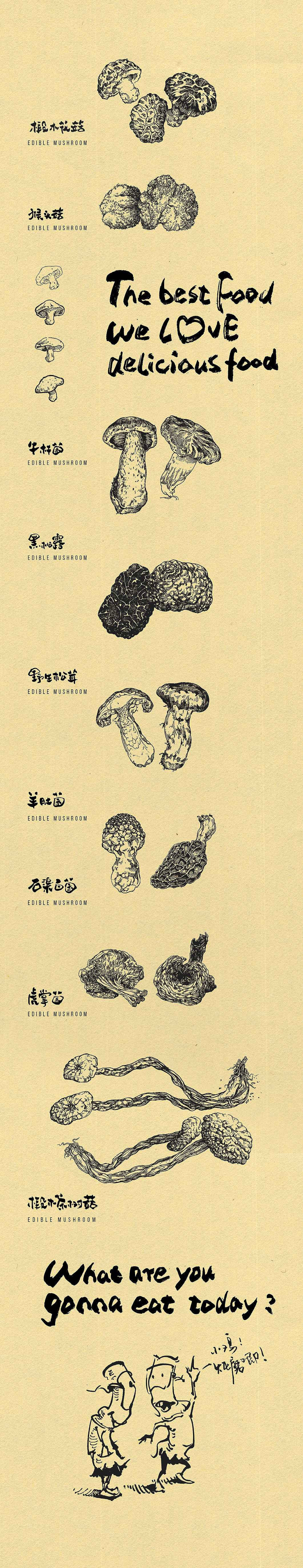 小鸡炖磨叽（图ZMjQyNzI4MTI=） - 商业插画 - 站酷设计师DX_IDO原创素材 - 站酷ZCOOL