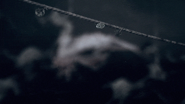 【短片】氲疫狩丨写实渲染艺术 生物概念展示（图ZMTk2NzAxNzQw） - 人物/生物 - 站酷设计师zeyi泽亿原创素材 - 站酷ZCOOL