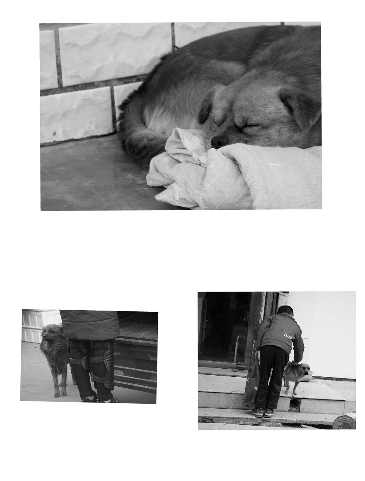 街头——《候》（图ZMTM3MjExNjQ4） - 人文/纪实摄影 - 站酷设计师Solokoala原创素材 - 站酷ZCOOL