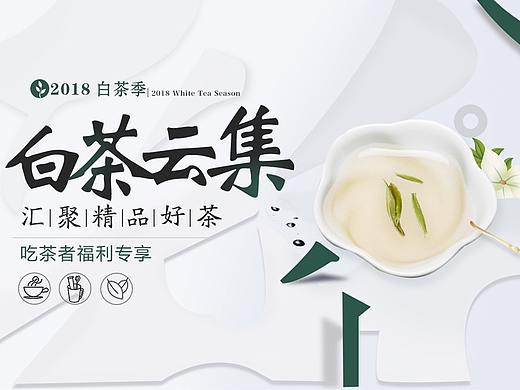 茶叶专题 白茶 笔触风格页面